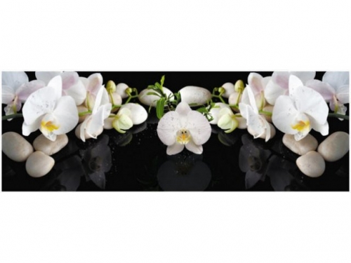 фартук из мдф элит белая орхидея 2070x695x3