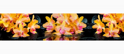 Фартук МДФ Цветник 2