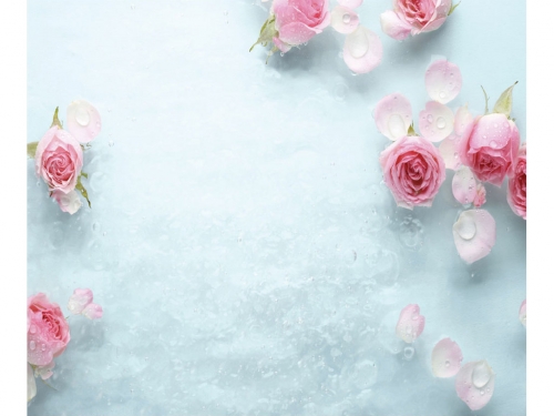 Потолочная панель ПВХ Novita Ледяные Розы