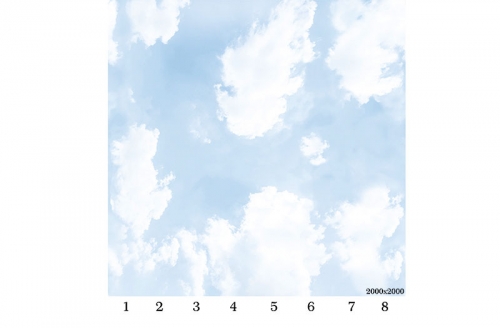 Потолочная панель ПВХ Панда Небо (рисунок)