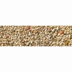 Фартук МДФ Ракушки