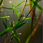 Защитное стекло Бамбук в росе для кухни