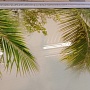 Потолочная панель ПВХ Unique Пальмы