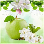 Защитное стекло Весенние яблоки для кухни