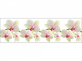 Фартук для кухни Орхидеи белые (фотопечать)