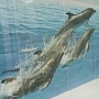 Панель ПВХ Unique Дельфины (рисунок)
