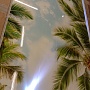 Потолочная панель ПВХ Панда Небо Пальмы (рисунок 1)
